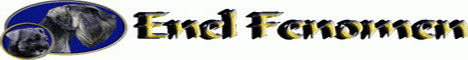 www.enelfenomen.com