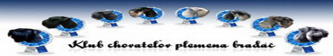 www.bradac-klub.sk