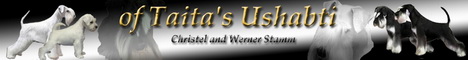 www.taitasushabti.com